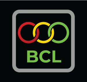 Barlen Consulting
